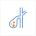 Gallstone